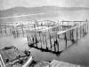 sooke fish 1908_3.jpg