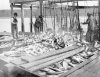sooke salmon.jpg