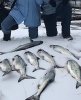winter fishing Feb. 12, 2019 (2).jpg