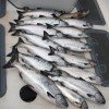 winter fish.jpg
