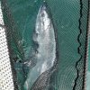IMG_20190324_154906_566.jpg