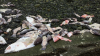 B9C28AFF-7BAE-4AFF-B389-106EE203234A.png