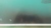 20190408_095133.jpg