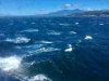 IMG_5811.jpg