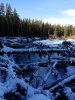 8DC092E4-0DFF-4A0D-956A-1B5581209B42.jpeg