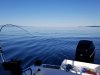 1766F80F-79A0-4BB4-B207-D9C5DB0C1F05.jpeg