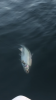 B214F574-4365-478F-9204-7ACB2D86C19B.png