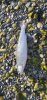 Resized_20190708_193903.jpeg