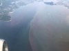 8B48358D-9E1B-40F1-B3AF-34FFA8C4F146.jpeg