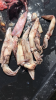 0A8F5F02-88AA-4D66-AD2E-4AD9AEF21526.png