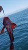 Screenshot_20190722_164659_com.android.gallery3d.jpg
