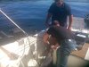 IMG_20120815_113257.jpg