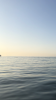 4B110F2B-70A7-49AF-B5D3-038AFC580258.png