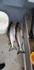 Resized_20190808_081918.jpeg