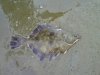 PICT0116.JPG