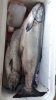 C7B2975D-93FA-4313-8FF7-A6B3C054CF23.png