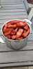 Resized_20190813_192950.jpeg