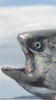 BF7F669F-6A8B-47F7-981D-16C185B777EF.png