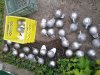 20170617_111905.jpg