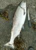IMG_20190907_175338.jpg