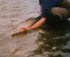 20190915_114656.jpg