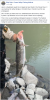 upload_2019-9-25_7-47-33.png