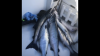 45849DB9-CAA4-4AB8-9D2C-FD7CFC7E213D.png