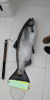 Screenshot_20191102-144308.png
