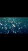 876CEC99-D33E-4F3E-B8DF-CBE6B3F24D93.png