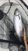 13B51D70-F995-418C-BEA2-0B12BB5CF308.png