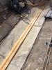IMG_8129.jpeg