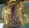 mink 2.jpg