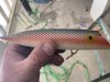 6F0678DD-ECDF-4937-A42E-B271B463A566.jpeg