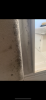 4AB903E9-38C8-4ECC-805D-7EA98F7E9F66.png