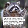 Corona.jpg