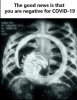 alien.jpg