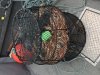 IMG_0979.jpg