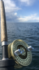295A8034-D277-4C65-A3F9-0B8BB8B1373D.png