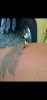 Screenshot_20200624-193143_Photos.jpg