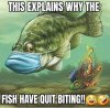 FB_IMG_1593720269395.jpg