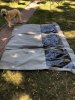 IMG_6857.jpeg