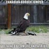 F9DB35F4-422D-453D-8D5A-FDF258BA87BD.jpeg