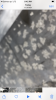 9037F85F-0F5B-4405-8715-1D7DAE0F2C6F.png