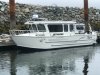 IMG_3204.jpg