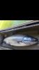 1222A2E5-A822-43E7-AA4C-69B3361208EB.png