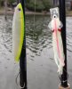 20200803_170300.jpg