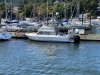 IMG_0682 (Large).jpg