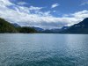 IMG_1207 (Large).JPG