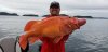 20200826_084011.jpg