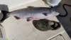 20200901_151121.jpg